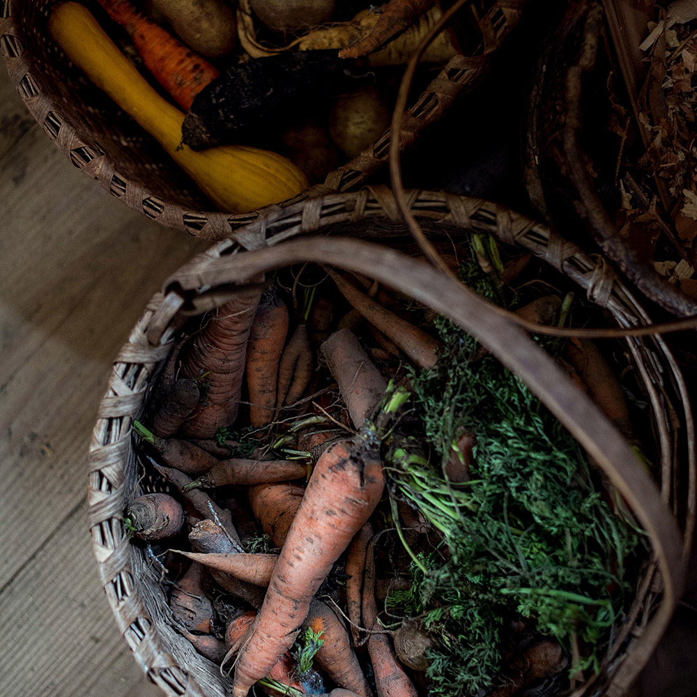 carrot basket