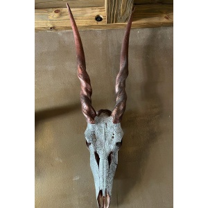 Eland Boho Skull