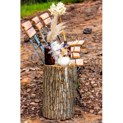 Wooden Stumps
